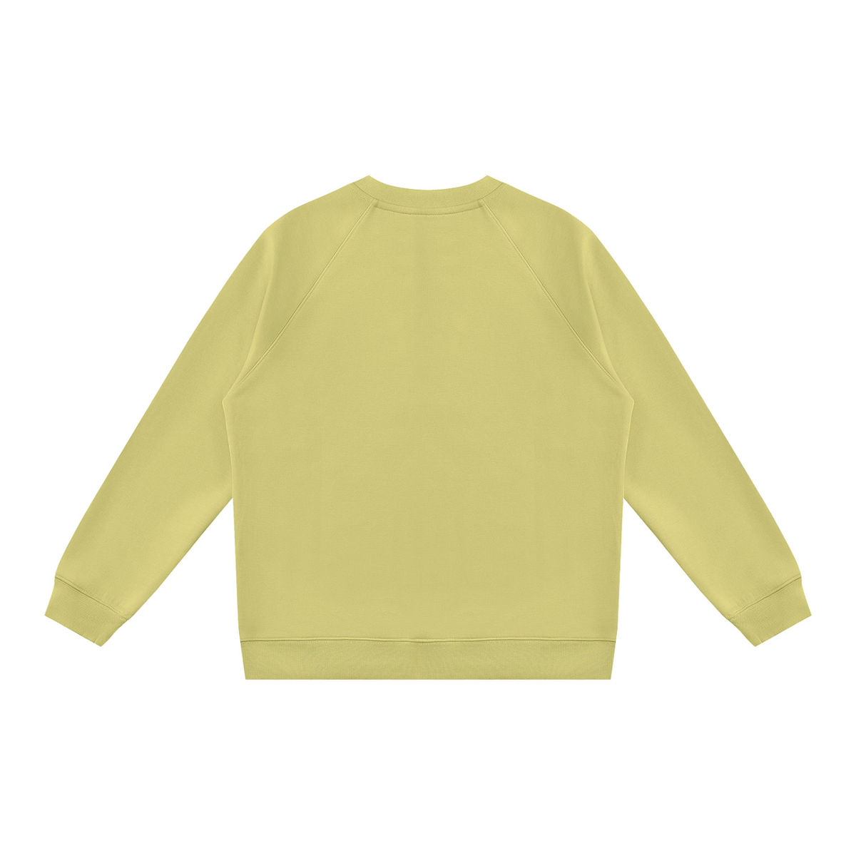 Regular Fit Crew Sweatshirt